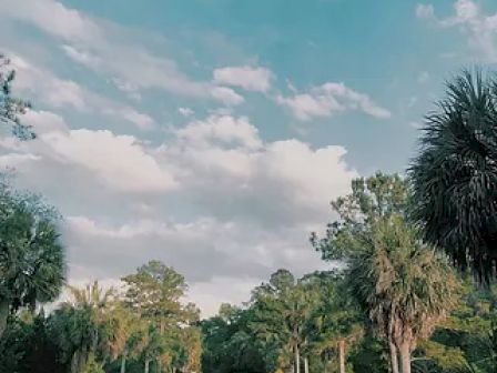 A scenic road with a small vehicle driving away, surrounded by trees and under a partly cloudy blue sky.