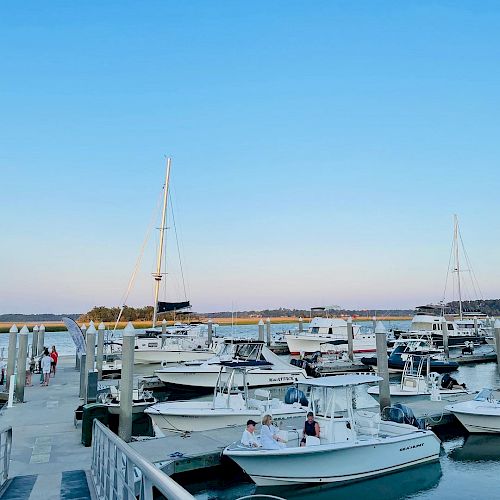 A marina with several boats docked at a pier, under a clear blue sky, with water bodies and distant structures in the background.