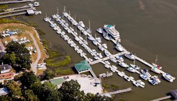 The image shows numerous boats docked at a marina in a calm body of water, with surrounding buildings, greenery, and a parking area.